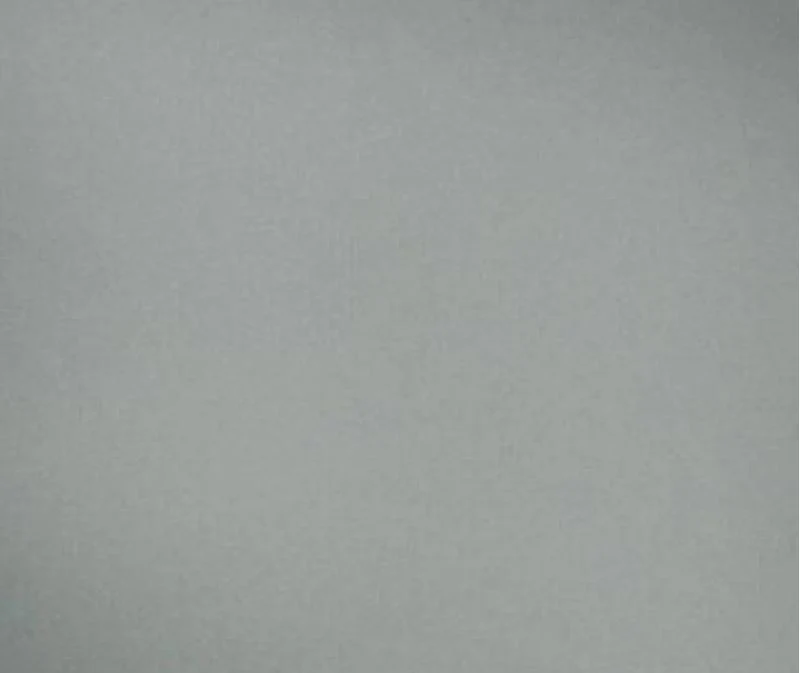 dovegrey.webp
